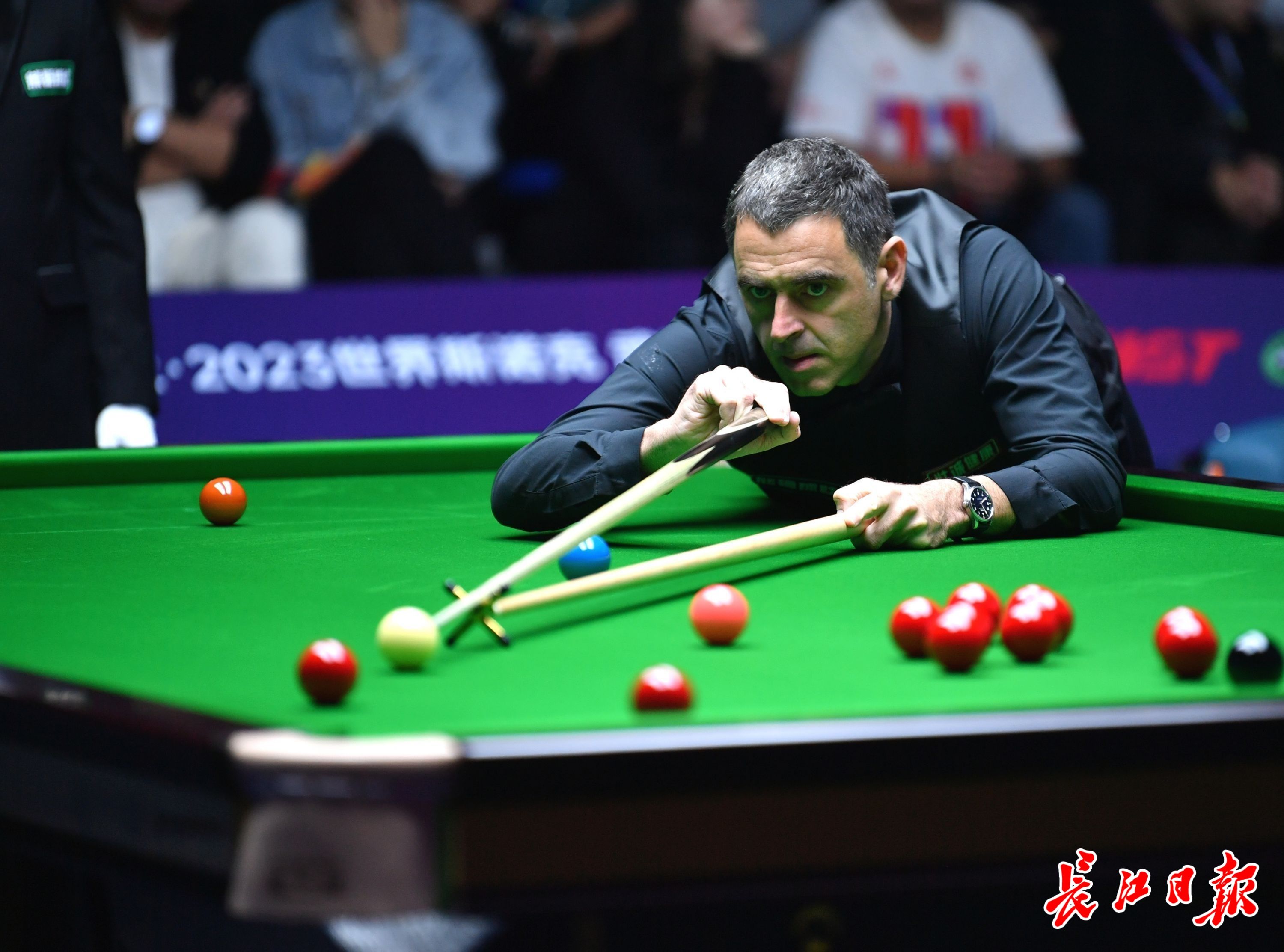 把这篇文章 把这篇文章