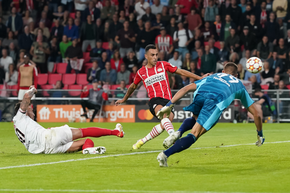 却没有任何 却没有任何